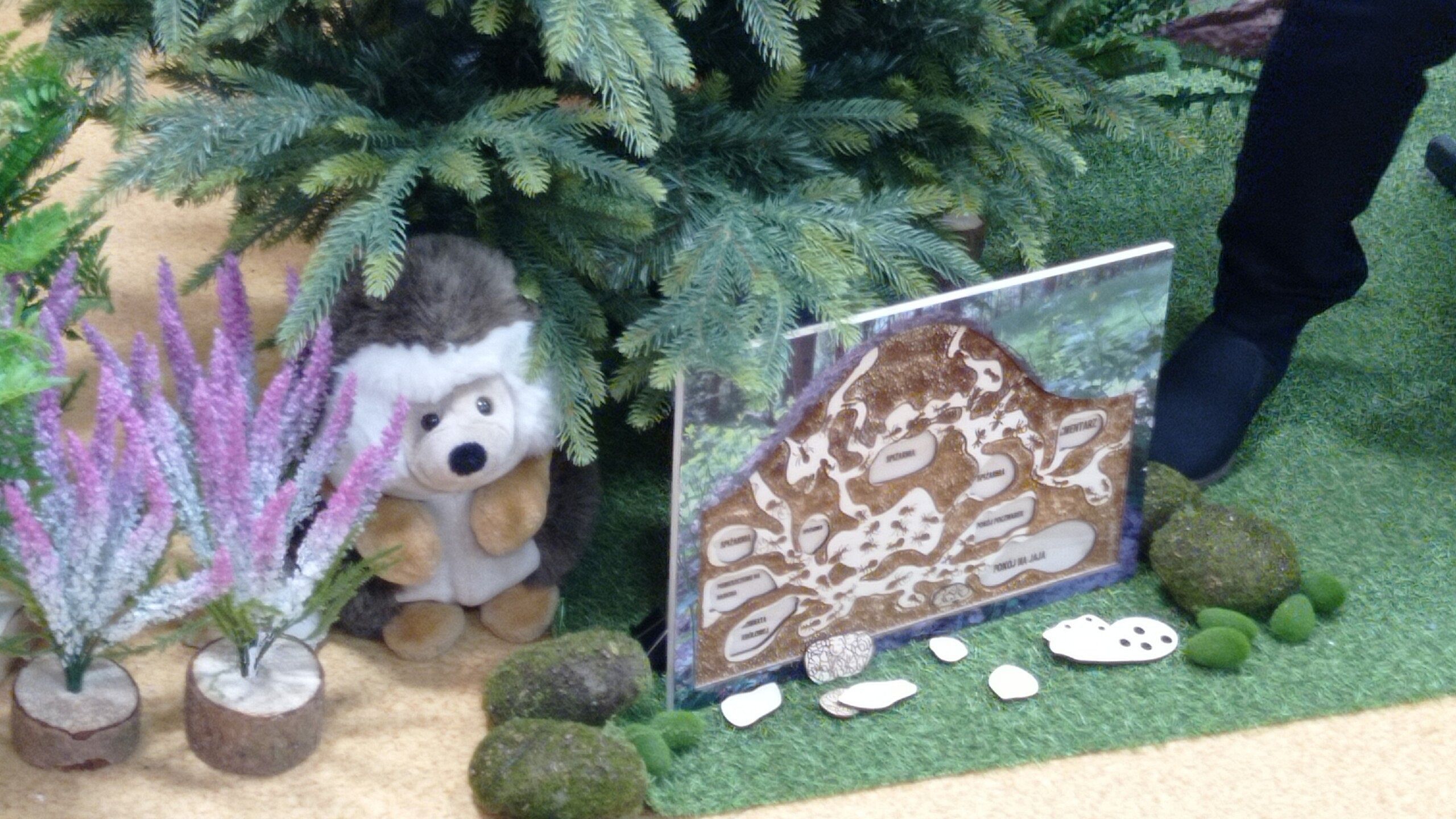 Warsztaty edukacyjne „Tajemnice świata mrówek”