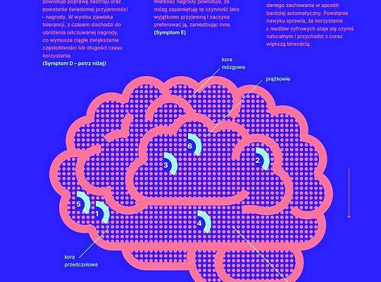 Grafika #3: Szkoła Odpowiedzialna Cyfrowo