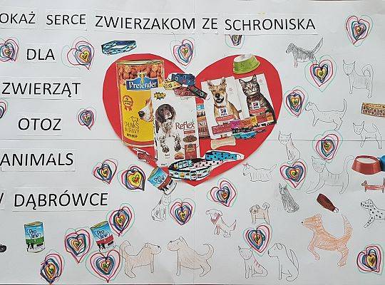 Grafika #2: Podsumowanie akcji charytatywnej w przedszkolu