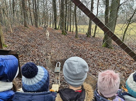 Wycieczka do Leśnej Łączki