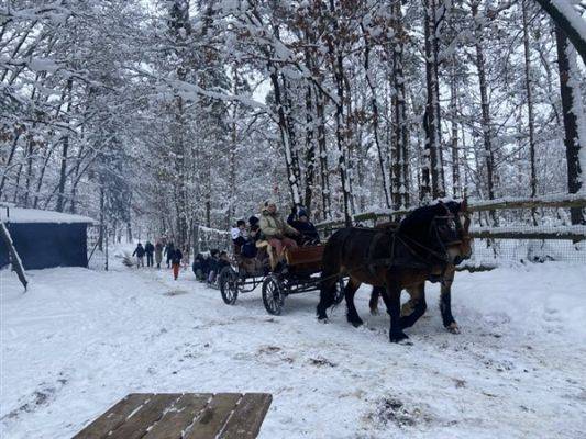 Leśna Łączka w Gowidlinie